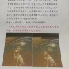 悬赏1000万的狗已找到 主人只给了5000