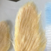 年轻人给芒果核梳毛：这是一种精神寄托