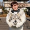 继男子花200万变狗之后 日本工程师砸300万变成野狼