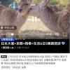 旅企：国庆旅游市场生变 日本游已开始退团