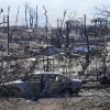 美媒称夏威夷毛伊岛大火搜救基本完成 伤亡数或将继续上升