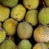 汇丰：今年一季度全球榴莲需求飙升400% 中国占九成