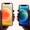 法国以“辐射超标”为由停售苹果iPhone 12 比利时、荷兰等相继启动调查