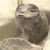 英国蛋糕师复刻墨西哥外星人：一比一还原