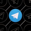自哈马斯发动袭击以来 其Telegram社交平台粉丝数量激增