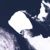 世界最大冰山开始加速移动 系1986年脱离南极海岸线后首次