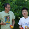 言不由衷的俞敏洪 vs. 高级合伙人董宇辉