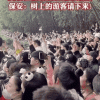 2023年十大网红：封神还是封杀 都在一念之间