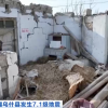 吉林一号卫星直击新疆乌什县7.1级地震：房屋损坏1000余间