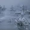 男子独自上山看雪发现“冰封秘境”：越走心越慌
