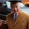 英国王室声明：国王查尔斯三世确诊癌症