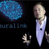 马斯克的Neuralink公司放弃特拉华州 在内华达州重新注册成立