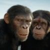 《猩球崛起4》超级碗预告 5月10日北美上映