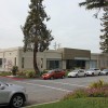 外媒评苹果放弃造车：遗憾但这就是现实 苹果更需要AI
