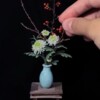 女程序员下班后为自己造了一座迷你植物园：最小植物仅2毫米宽