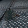 Netflix《寄生兽》真人剧集首发官方前导预告