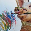 会画画的猪Pigcasso因病去世 8年画作卖出超100万美元