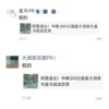 盒马、大润发双双辟谣 均否认被阿里出售给中粮