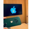 郑恺获得库克签名iPhone 当面建议一定要继续生产mini机型