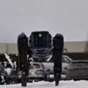 阿拉斯加机场启用伪装机器人：可模仿土狼动作 用于驱赶鸟类