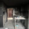 四川一小猫竟成“纵火犯” 误开电磁炉把家炸了 如今直播还债