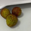 广东300吨冻眠10个月荔枝解冻上市 味道依然鲜美