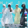 椰树的女模特们，彻底懵了