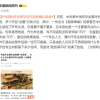 央美毕业展作品被吐槽废纸壳 专家：专业人士向外行网民致歉可笑