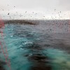 联合国报告：2022年全球水产养殖产量首次超过捕捞渔业