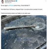 Model X车主遭遇可怕事故 石凿10层楼坠落砸中车顶