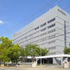 生育率持续下跌 2027年日本成人纸尿裤市场规模将达近千亿日元
