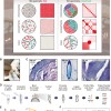科学家在5.2万年前的猛犸象化石身上发现非同寻常的古代染色体