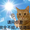 今年夏天如此之热 真的正常吗？