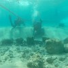 科学家揭开8200年前曾战胜气候危机的新石器时代村庄的秘密