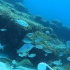 新研究重新界定了西南大西洋的海洋边界 比以前想象的要浅得多