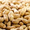 世界首例全国性花生过敏症治疗计划开始实施