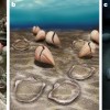新研究揭开古代海洋被遗忘统治者的进化秘密