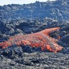冰岛火山爆发的真正原因是什么？