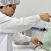这种细菌让蚊子绝育，让黄蜂变性 现在科学家总算知道它是如何做到的