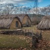 科学家在西欧发现源自7000年前的农耕技术演变