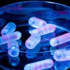 先进的微生物组采样设备可大大简化肠道健康研究过程