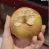 苹果上为啥长蘑菇？专家揭秘果菌王