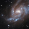 哈勃带你探索UGC 11861：一个充满恒星形成和超新星事件的星系