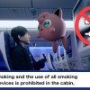 《宝可梦》与全日空航空公司合作推出航空安全宣传视频