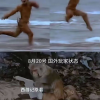 黑神话悟空上线 网友遭遇九九八十一难：你卡在第几难？
