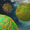 科学家发现生命起源中意想不到的缺失环节：雨水