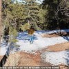 洛斯阿拉莫斯原子弹诞生地成网红公园 