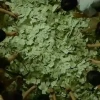 最冷暑期档，影业少赚90亿