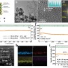 中国科学家在全固态电池材料领域实现突破