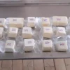 科学家在巴西传统奶酪中发现促进健康的益生菌